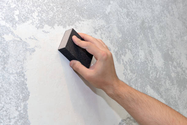 Best Water Damage & Mold Remediation  in Helena Valley Southeast, MT